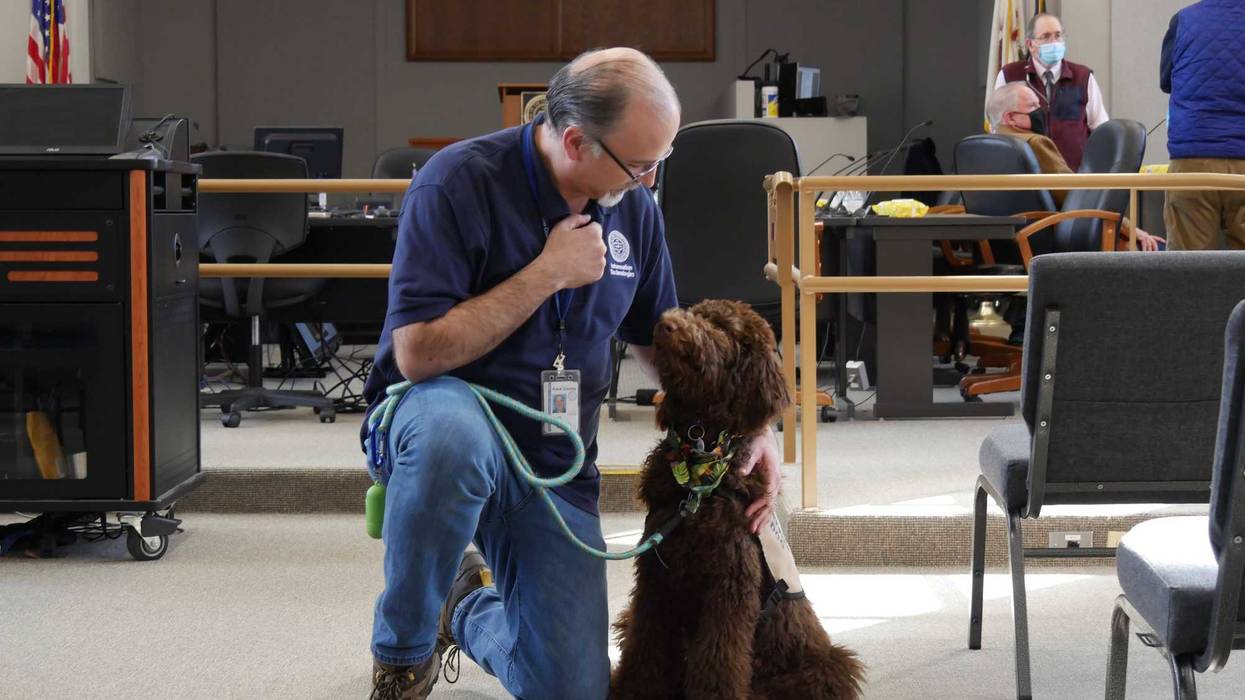 Gremlin is a 4-month-old Poodle/Labrador mix who had been paired with Blair Peters through VIP Service Dog Foundation of Hinckley. The service dogs assist disabled individuals with everyday activities.