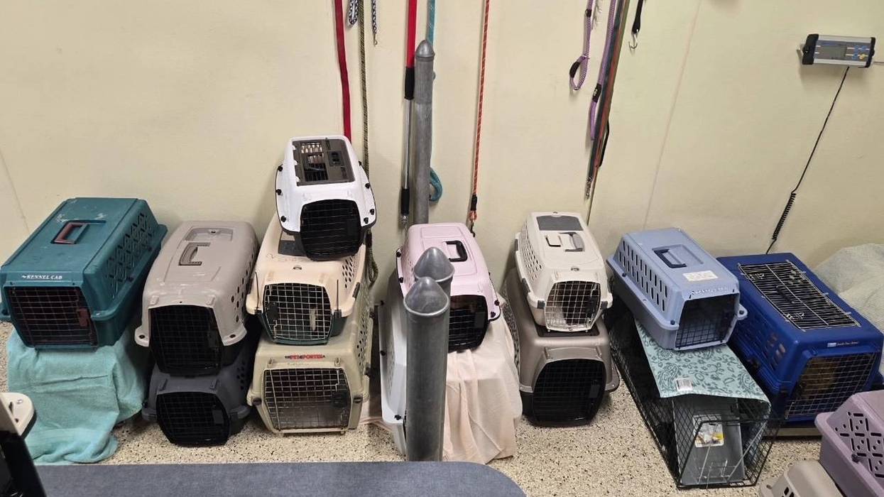 Griffin Pond Animal Shelter