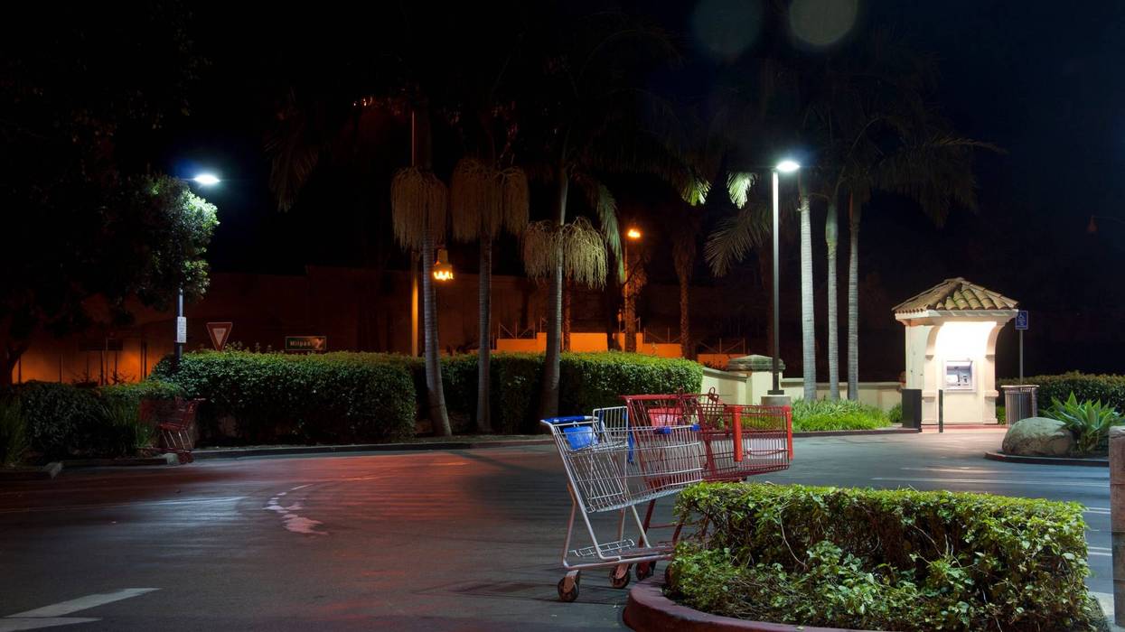 Grocery Cart