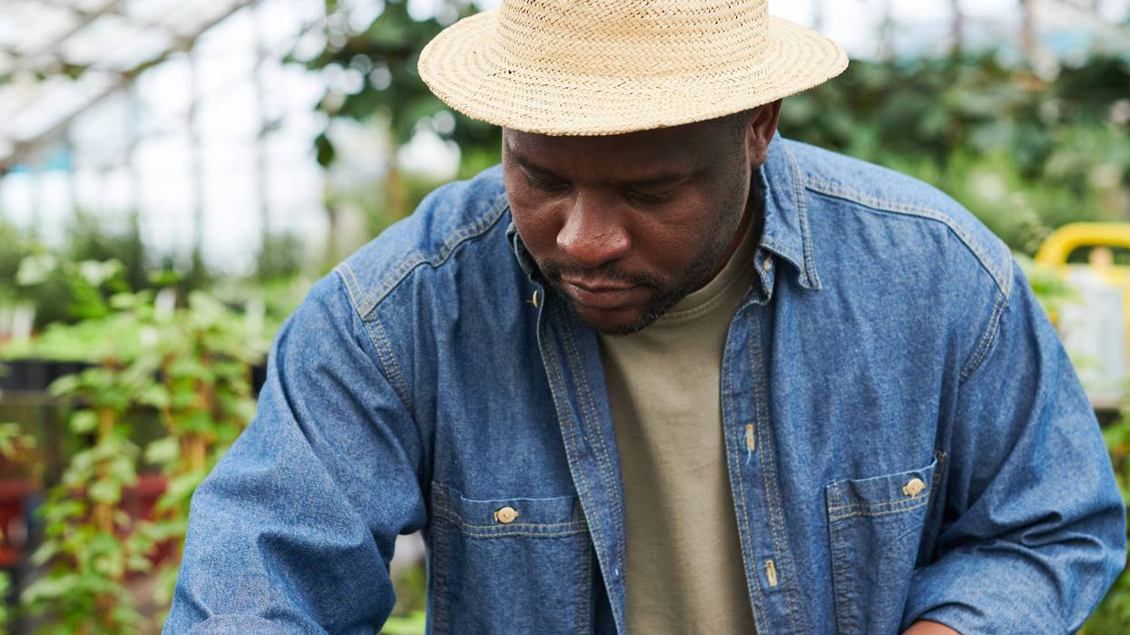 Ground to be broken on Far South Side greenhouse in early 2022