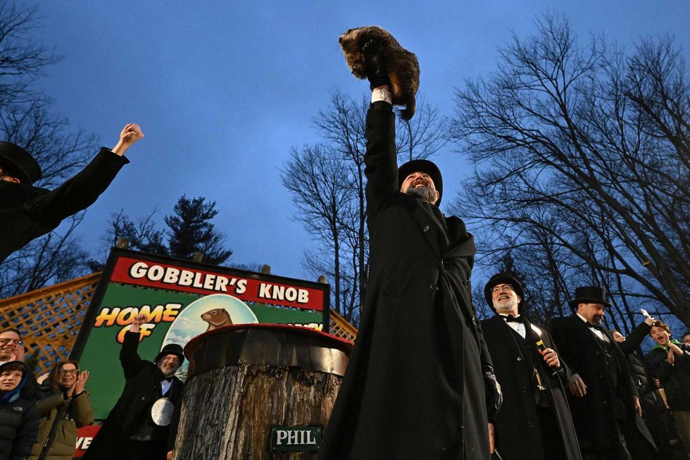Groundhog Club handler A.J. Dereume holds Punxsutawney Phil, the weather prognosticating groundhog, during the 138th celebration of Groundhog Day on Gobbler
