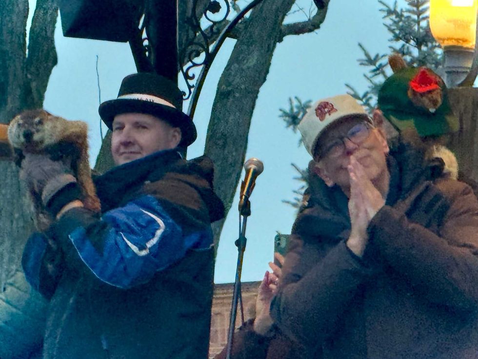 Groundhog Woodstock Willie