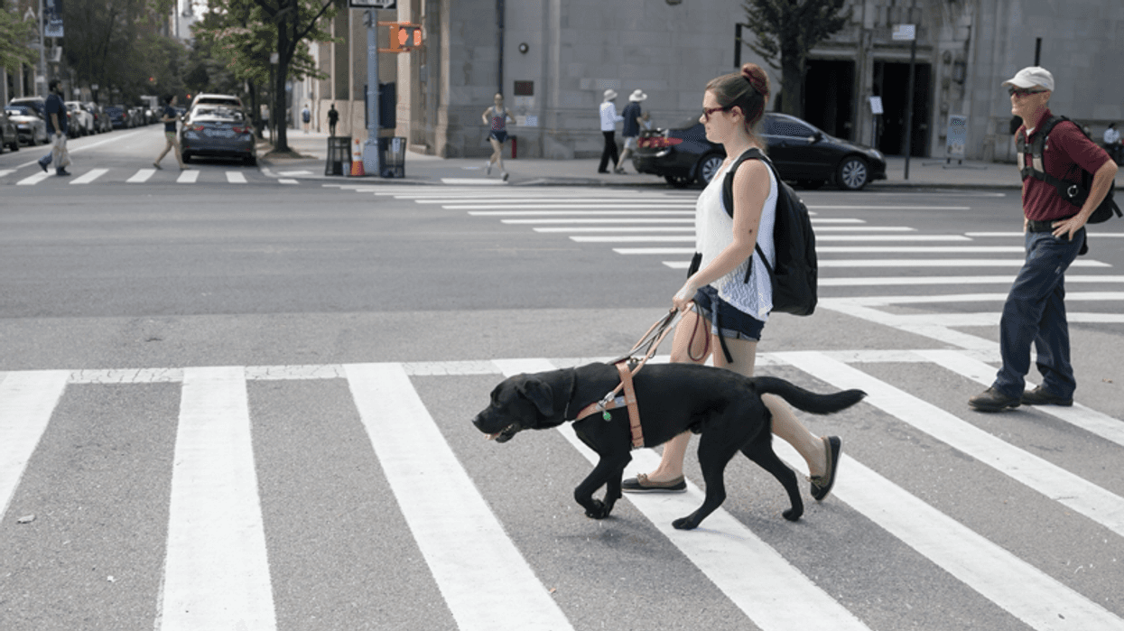Guide dog