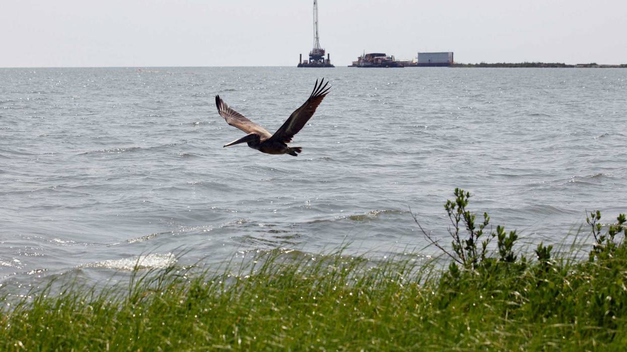 Gulf Pipeline Leak Fine