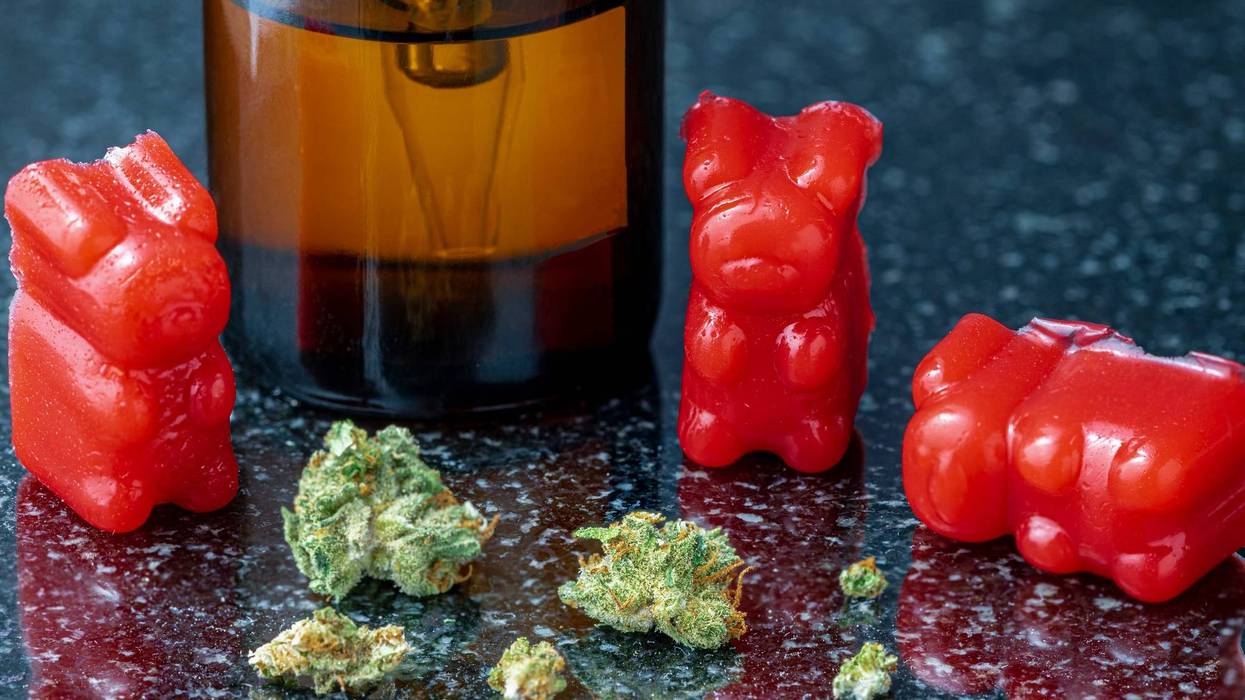 gummy bears with cannabis buds