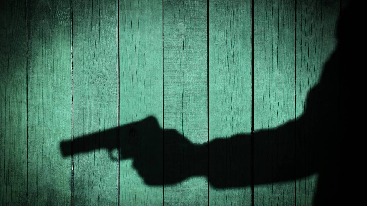Gun