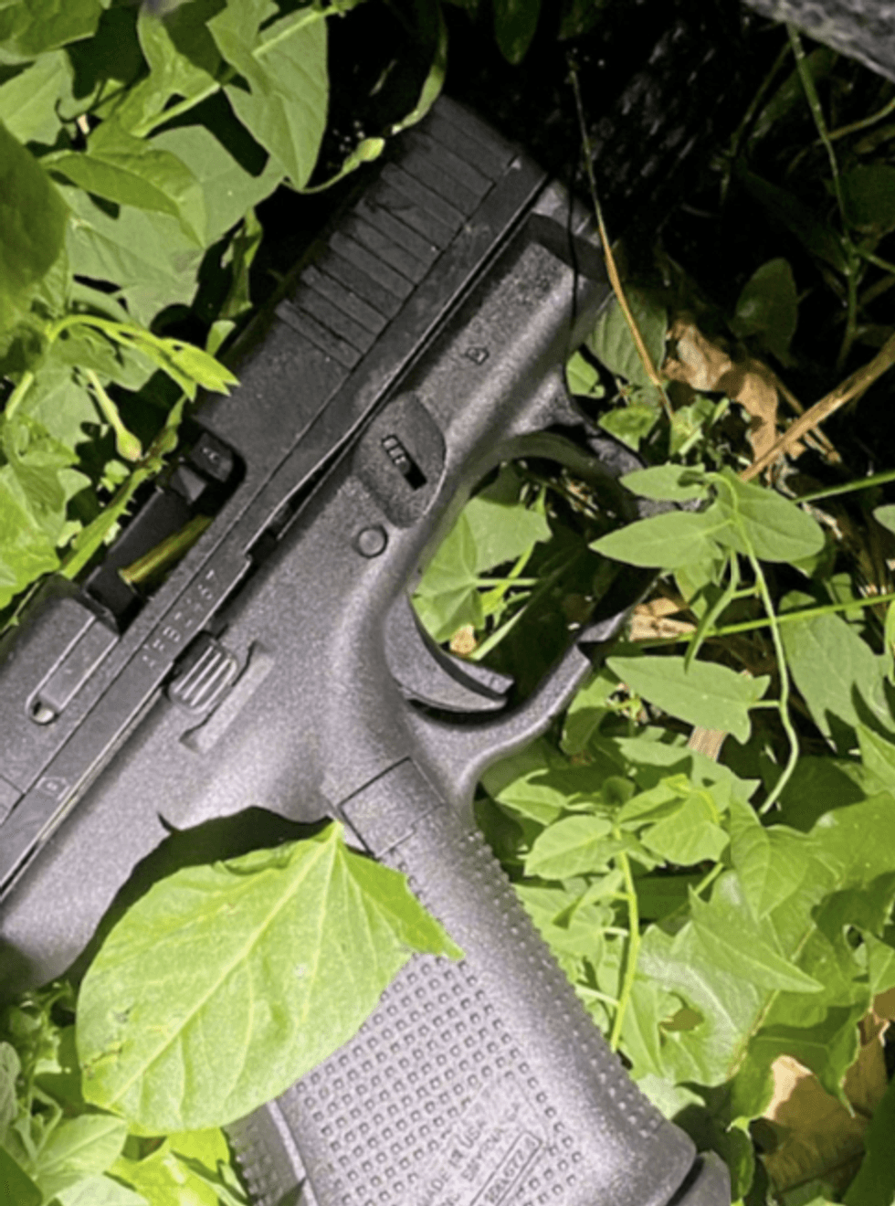 gun