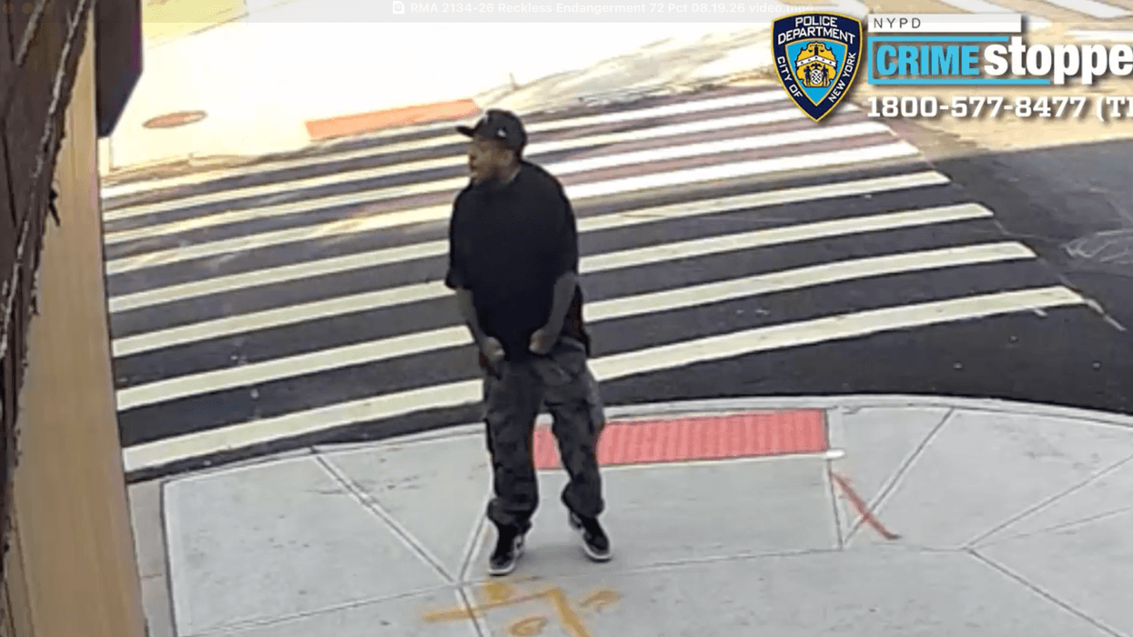 Gunman sought after a dog was struck by a stray bullet in Brooklyn.