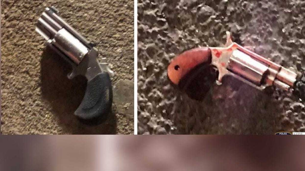 Guns recovered