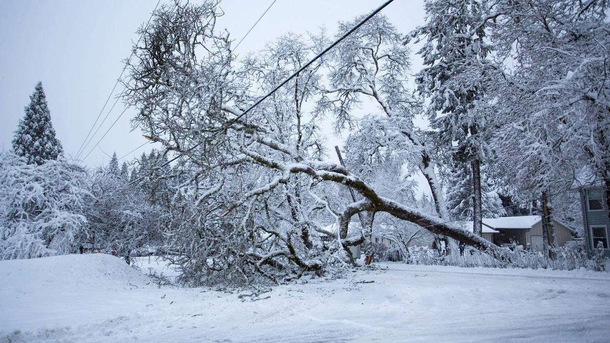 Gusts as high as 55 mph and cold Real Feel temperatures fell to 20 to 30 below zero in Southeast Michigan on Friday morning, plunging over 2,000 DTE customers into darkness — and outages are only expected to mount as the day continues.