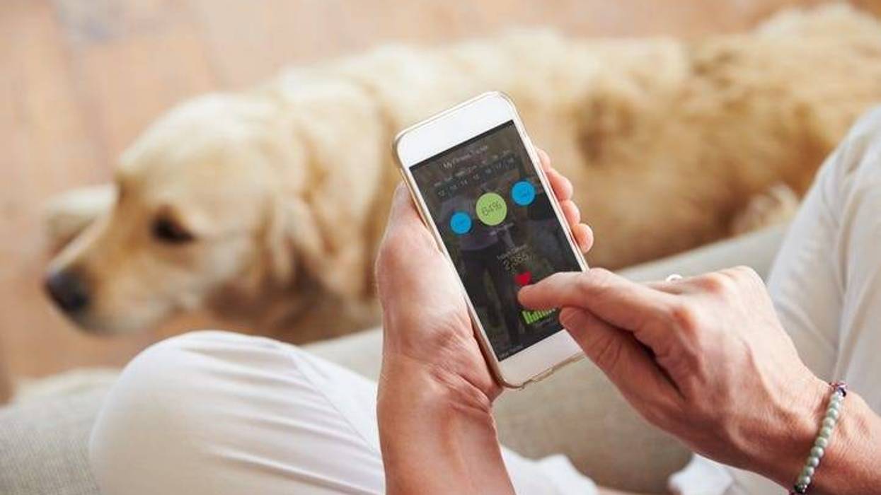 Guy using an app