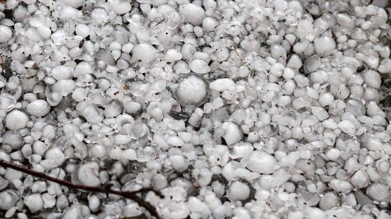 Hailstones on the ground after hailstorm, hail of great size, hail sized with a larger coin. Danger, cool.