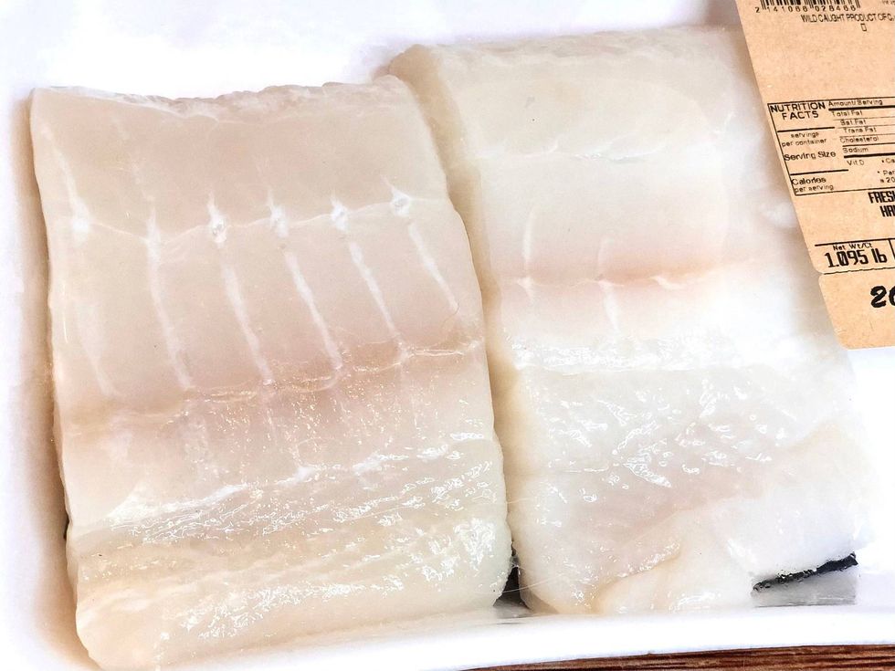 Halibut