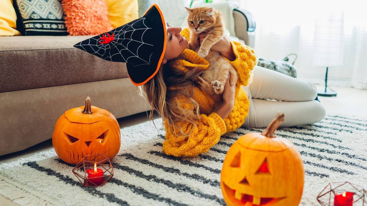 Halloween jack-o-lantern pumpkins. Woman in hat playing with cat lying on carpet at home decorated with pumpkins and candles.