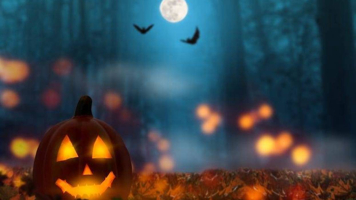 Halloween, Night, Outdoors, Jack-O-Lantern, Forest, Spooky