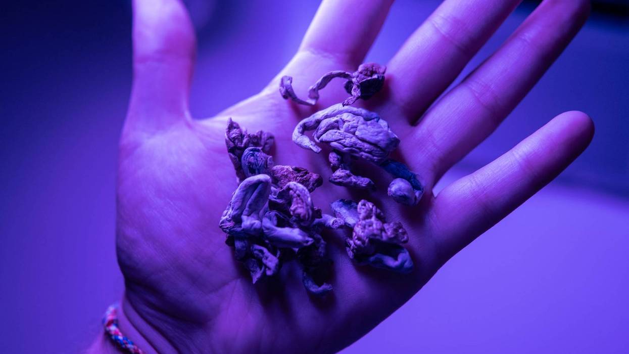 Hand holding magic mushrooms in purple light