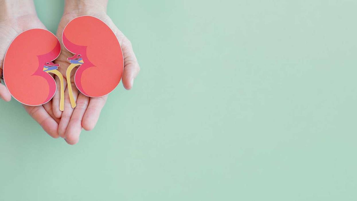Hands holding kidney shaped paper.