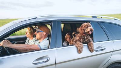 Happy family with maltipoo dog traveling in silver car during summer road trip holiday vacation featuring man woman and child looking forward in outdoor nature meadow background area for journey