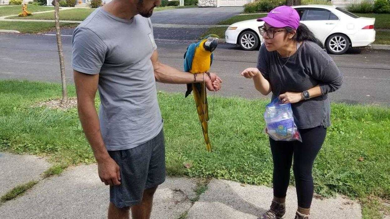 Happy reunion for bird and family