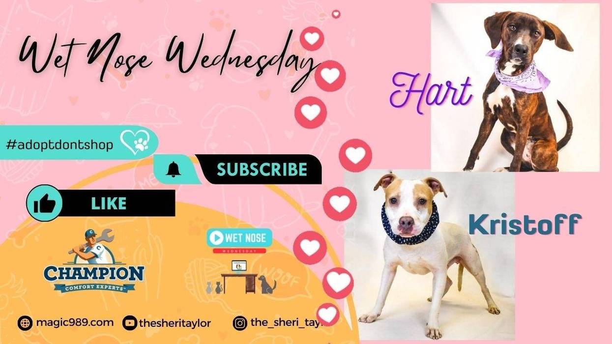 Hart & Kristoff on WNW