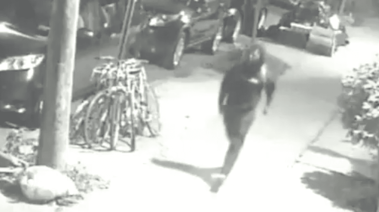 Hate crime attack investigation Brooklyn