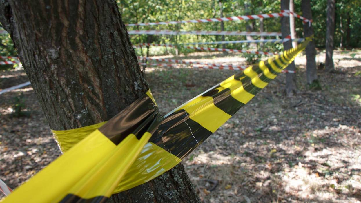 Hay ride accident in Mississippi leaves 10 people injured