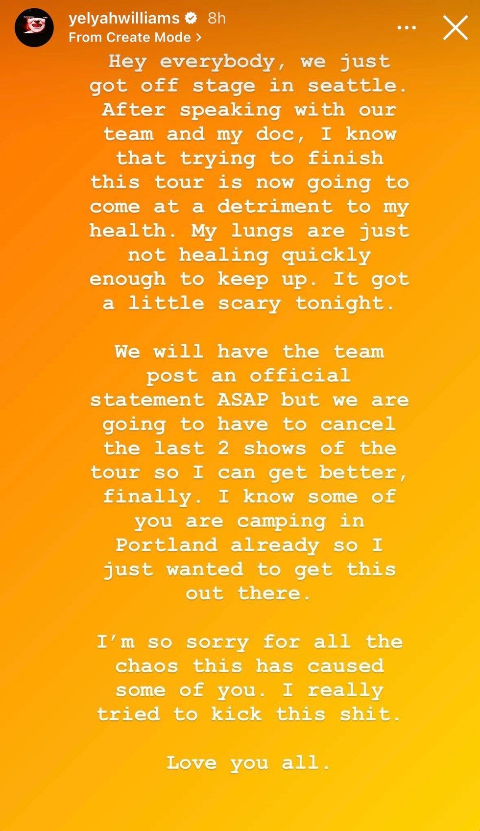 Hayley Williams IG story