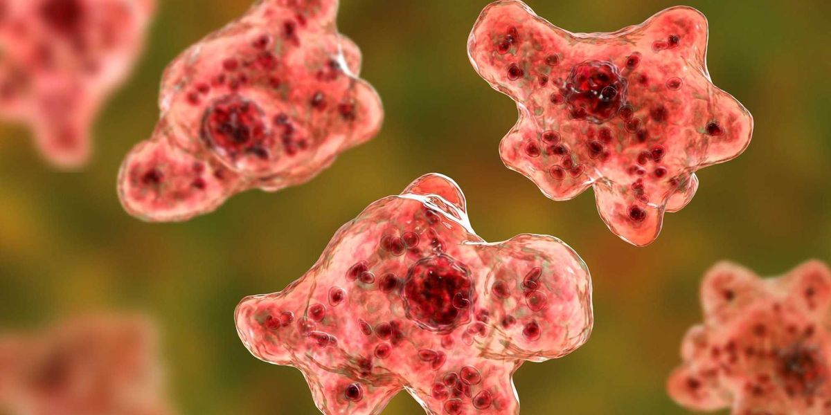 DPH reports cyclosporiasis increase in Connecticut