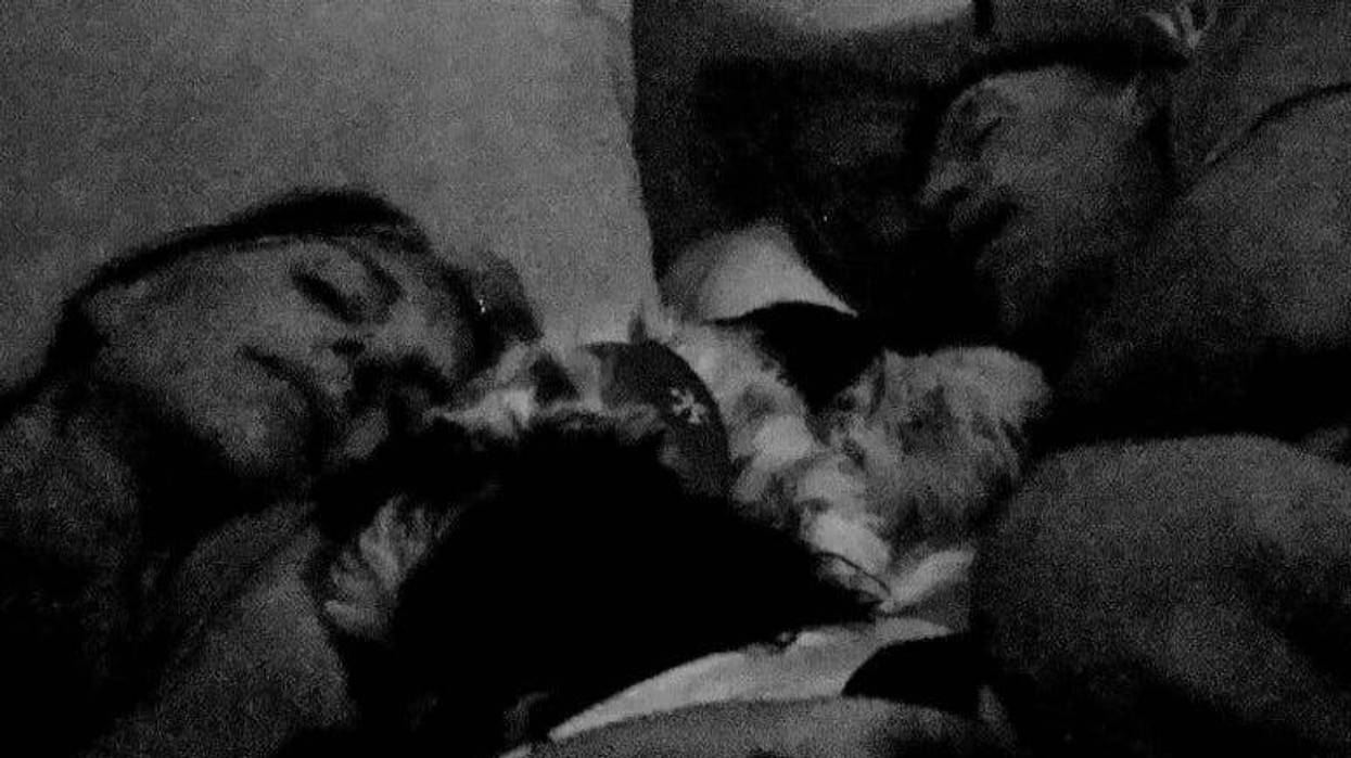 Heather honey Ted & Rudy sleeping