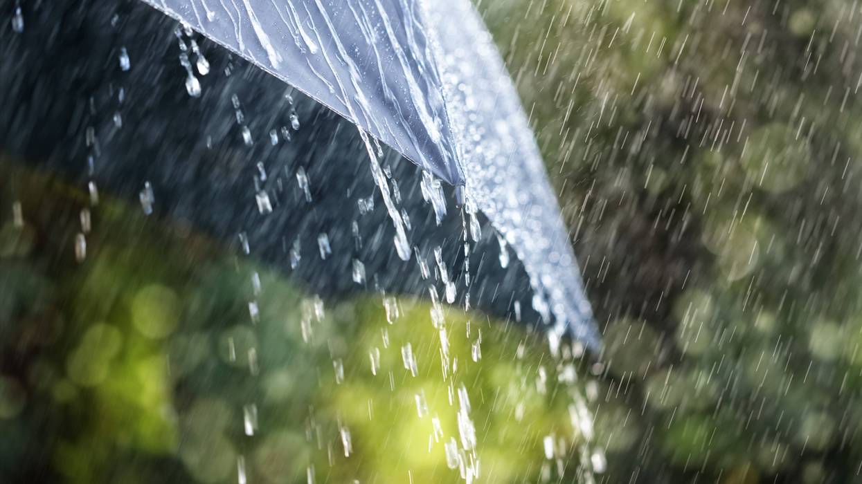 Heavy rain on black umbrella