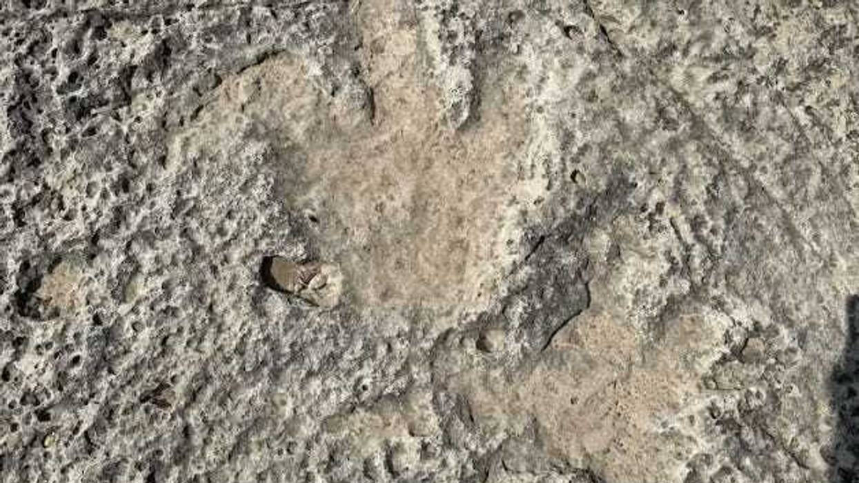 Heavy rains and flooding in Central Texas have uncovered a rare prehistoric treasure - 15 dinosaur footprints believed to be more than 110 million years old.