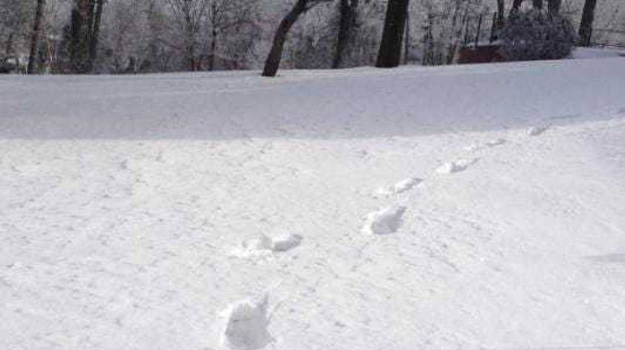 Heavy Snow