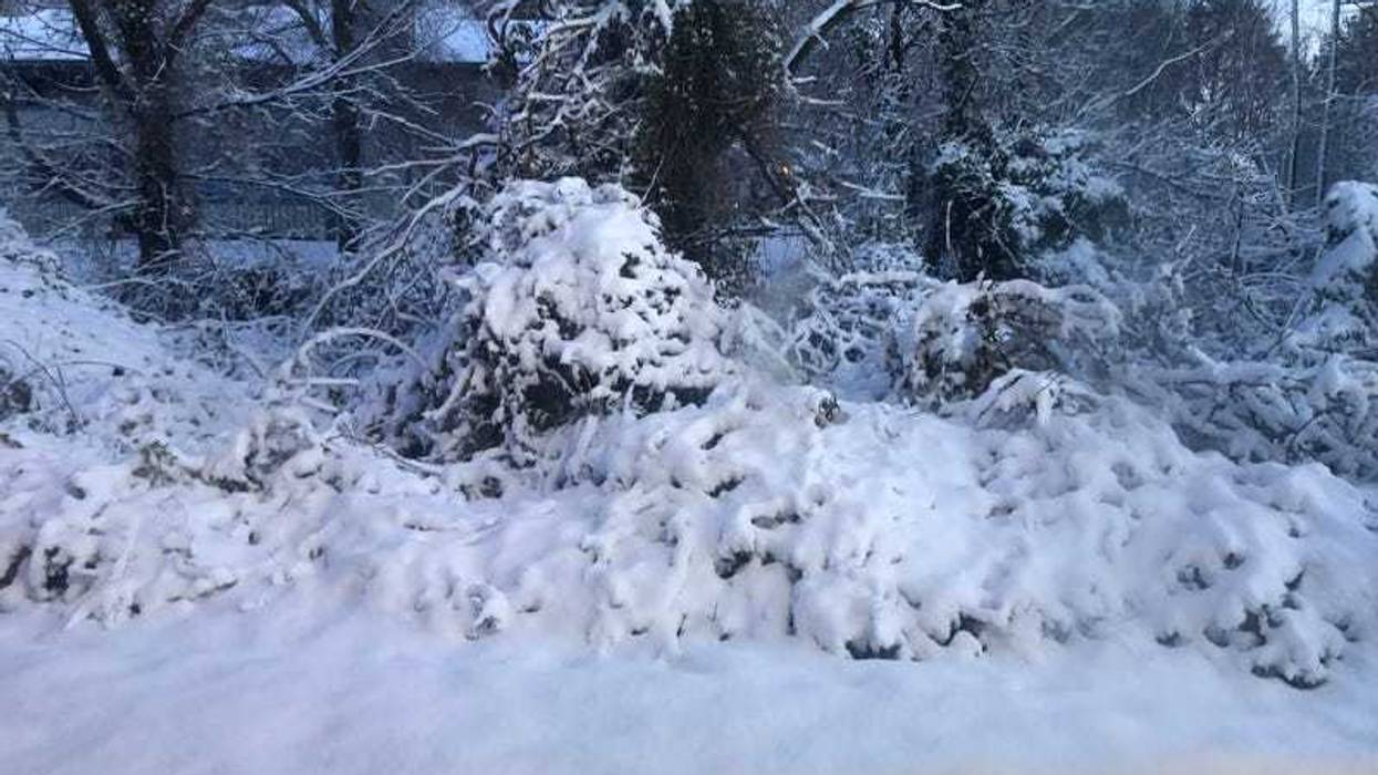 Henrico snow in early January.