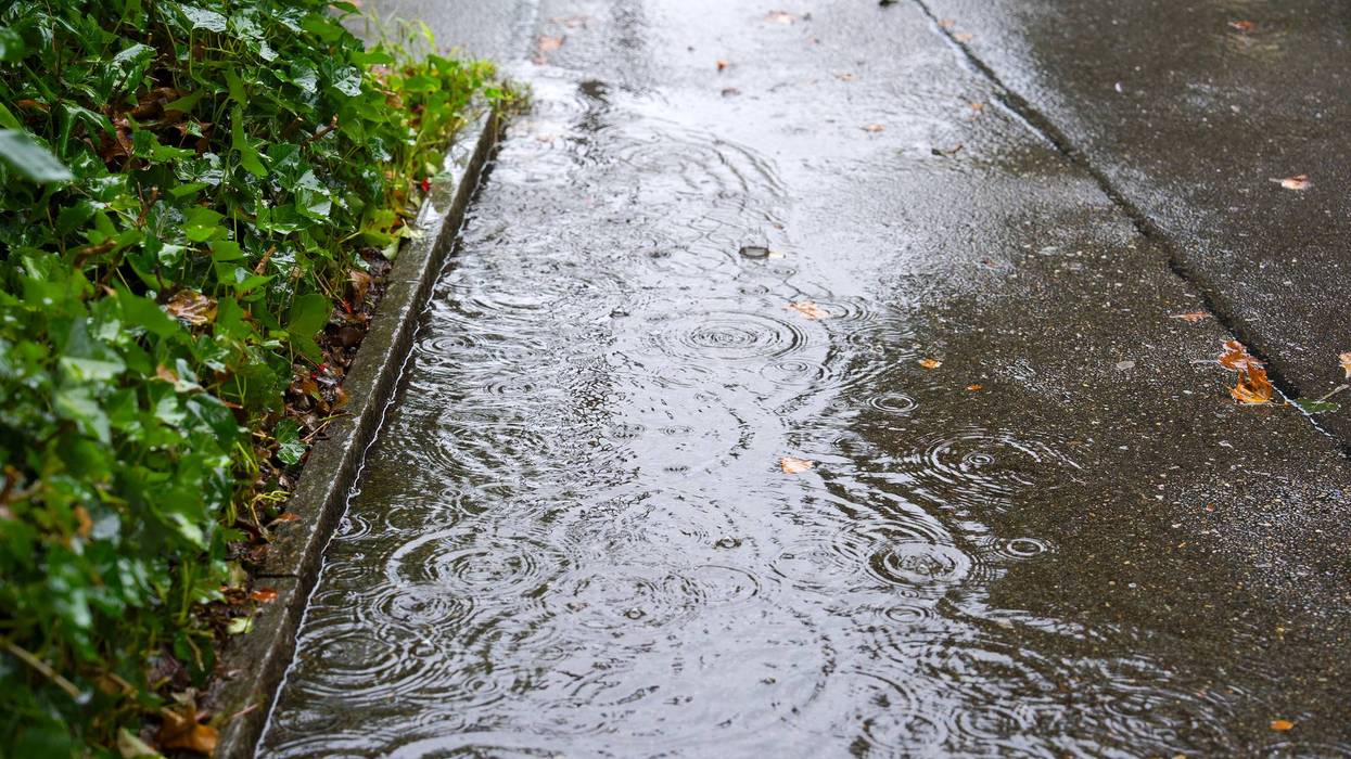 High angle view of puddle with falling raindrops and leaves at asphalt pathway at Swiss city of Zürich on a rainy summer day.