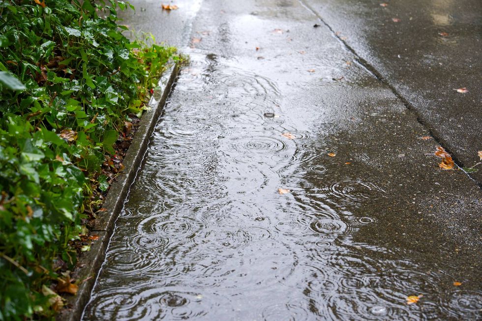 Do storms have something to do with the diarrhea-causing parasite outbreak?