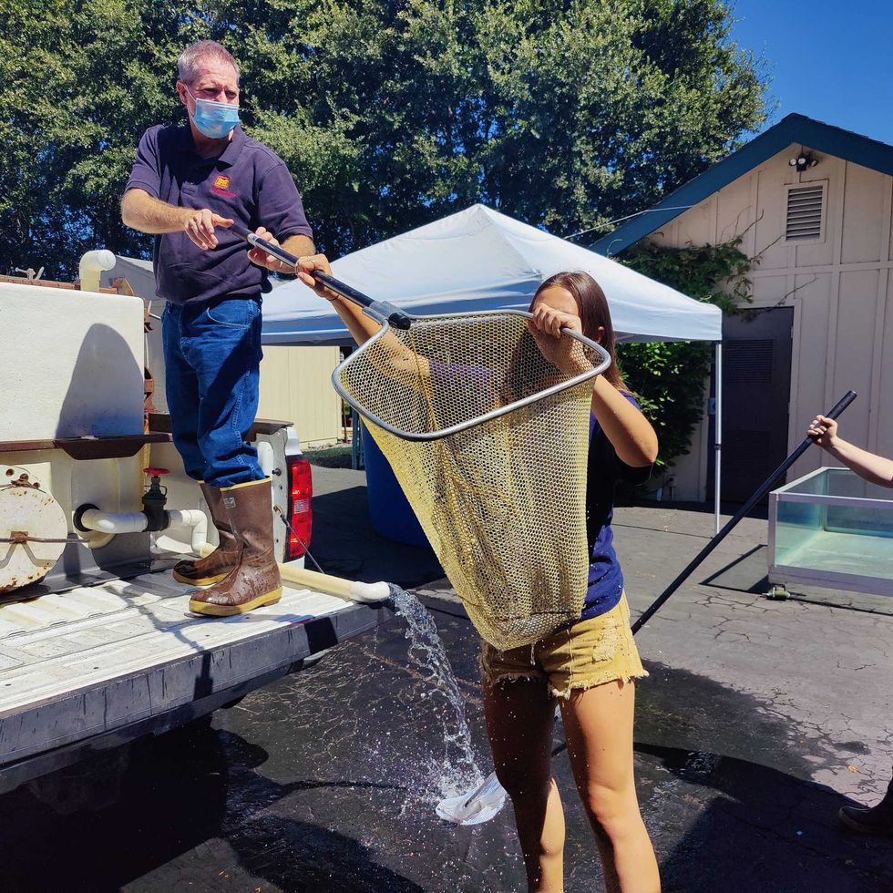 High school students and U.S. Army engineers work together to rescue salmon from Lake Sonoma.