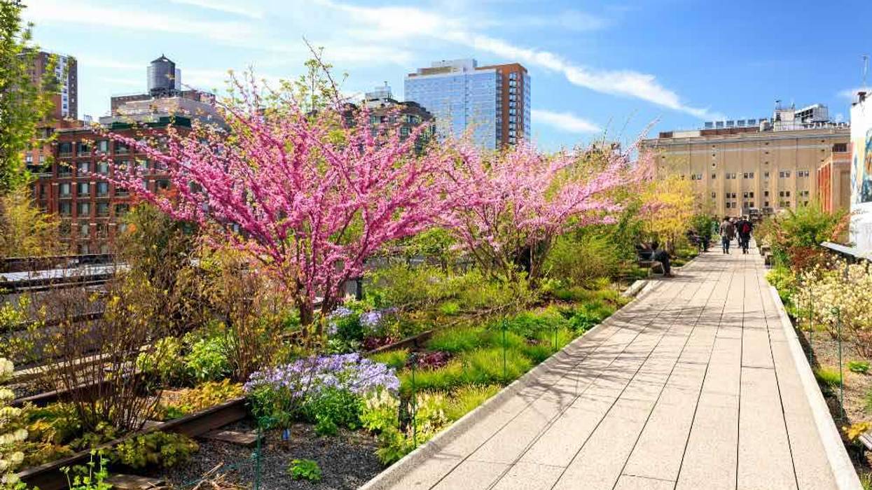 highline nyc
