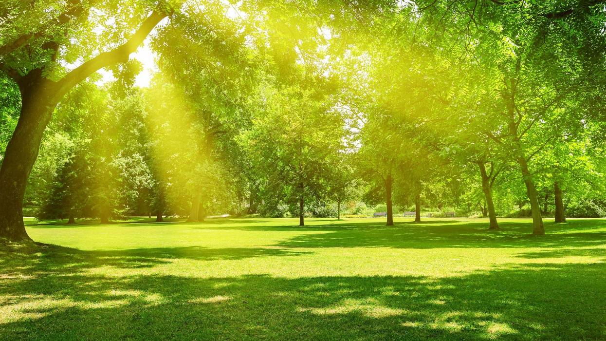 Highs pushing toward records to end summer