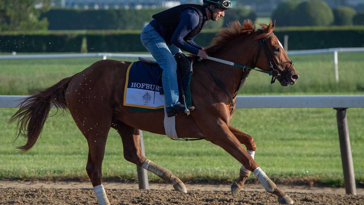 Hofburg trains on the main track in preparation for the 150th running of the Belmont Stakes at Belmont Park on Jun 5, 2018. Mandatory Credit: Dennis Schneidler-USA TODAY Sports
