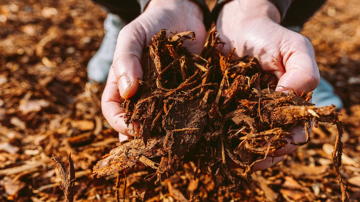 Holding Mulch