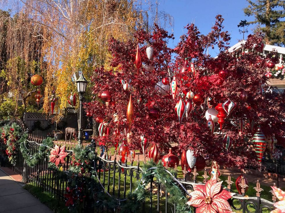 Holiday decorations on Eucalyptus Avenue in San Carlos