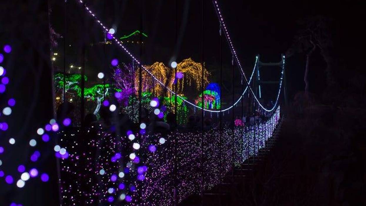 Holiday lights