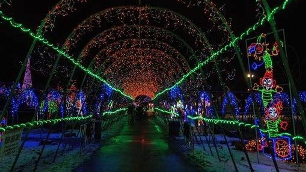 holiday lights