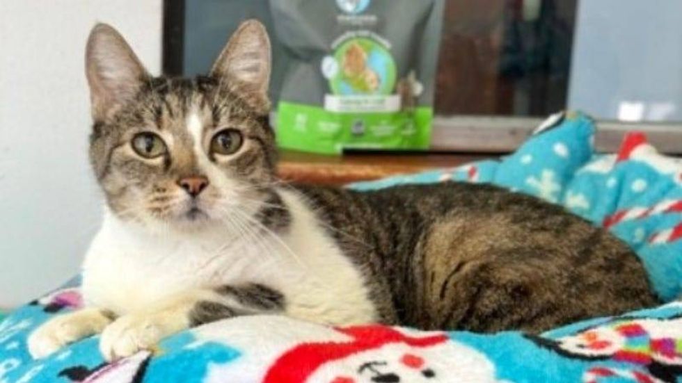 Holly @ Austin Humane Society 1/10/24