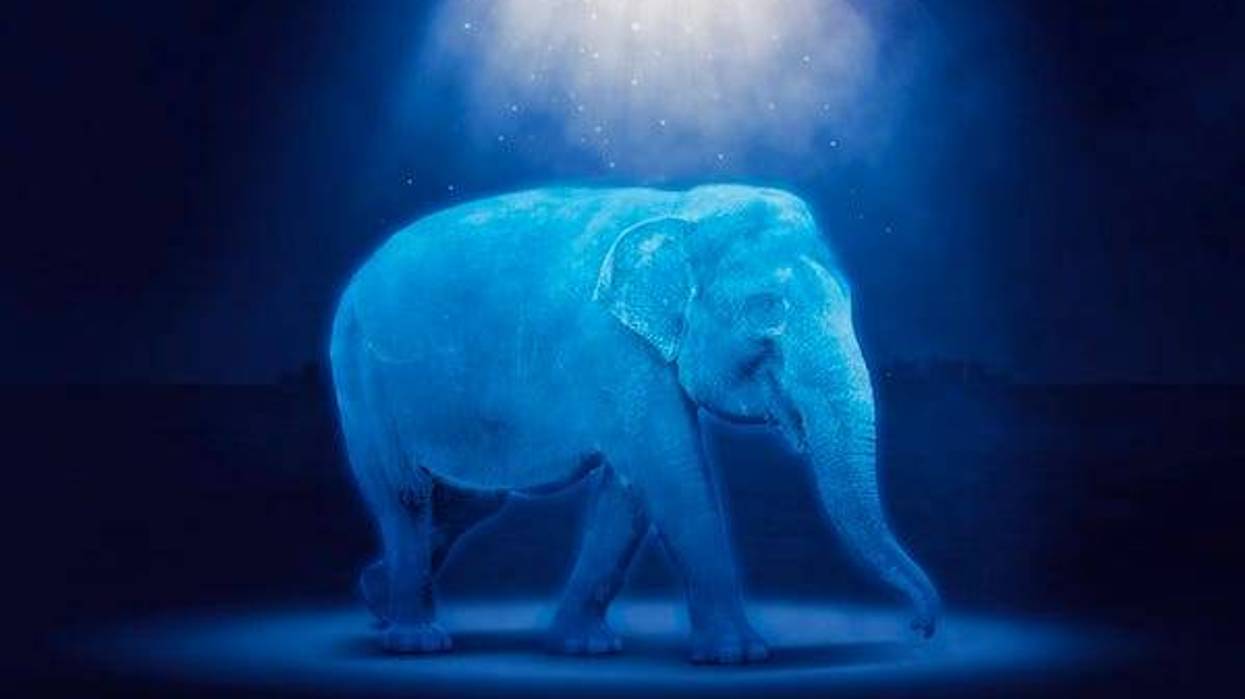 Holographic elephant