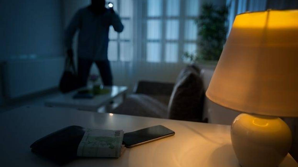 Home Intruder, Night, Living Room, Flashlight