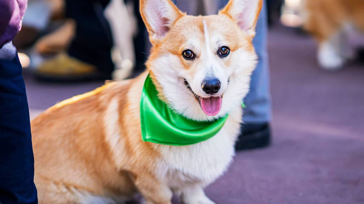 Hopefully it won't rain on weekend celebrations