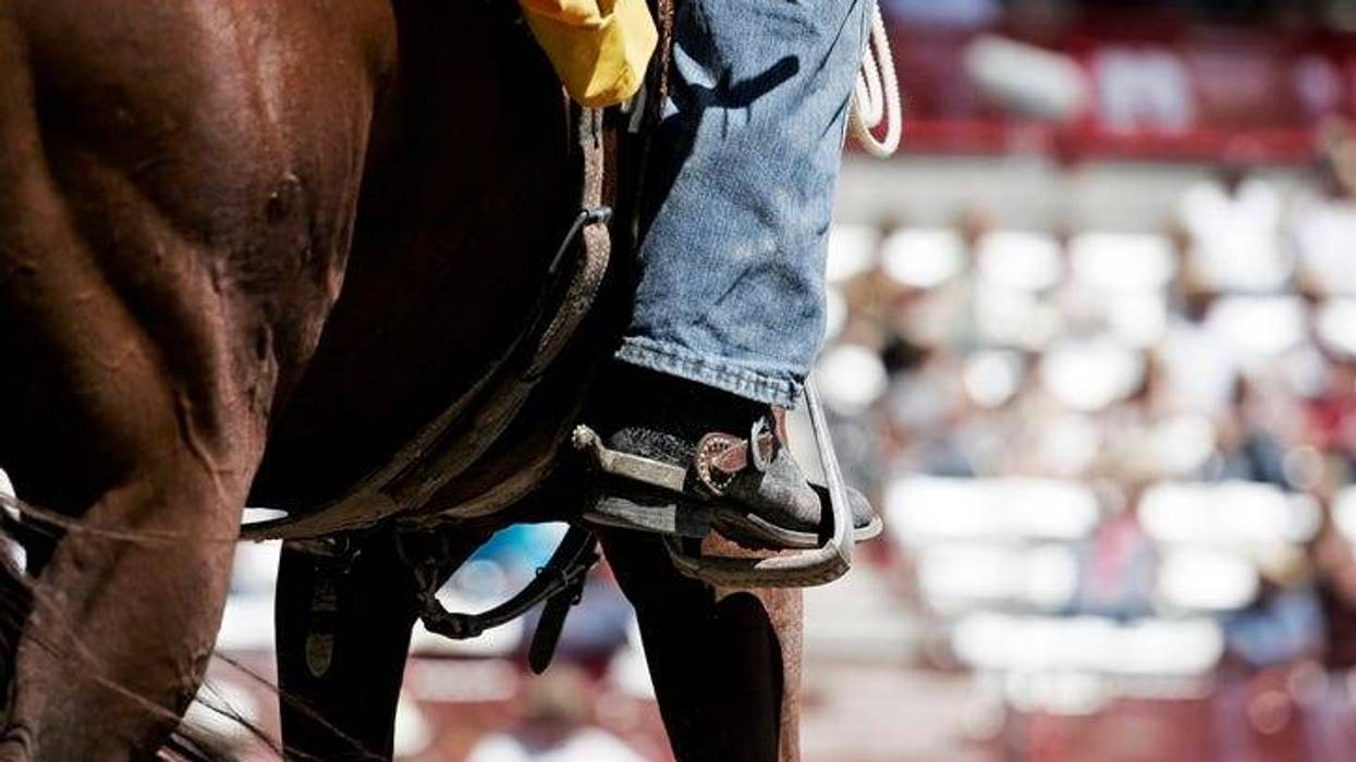 Horse, Boots, & Spurs (shallow focus)