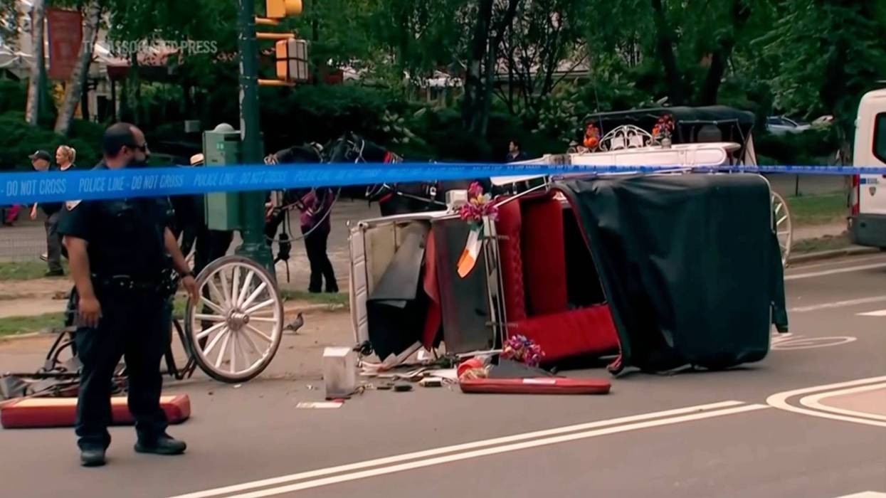 Horse Carriage Death 769