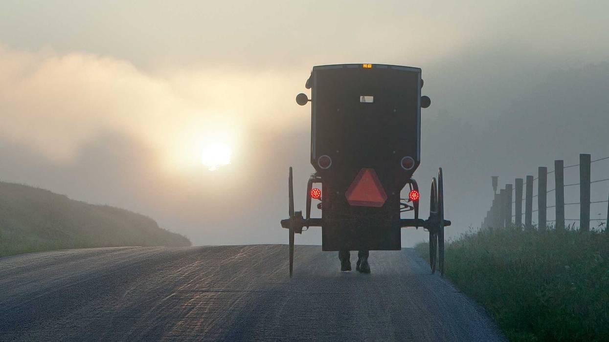Horse drawn buggy on a country road.